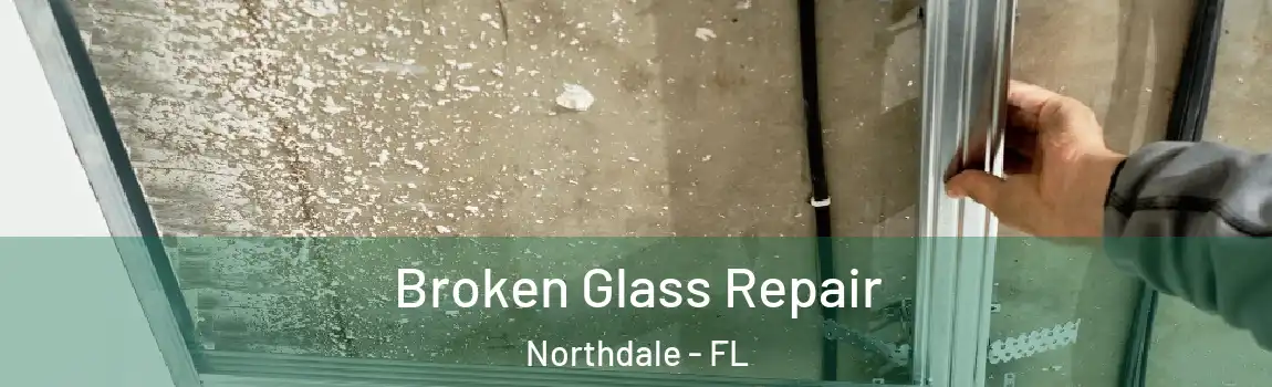 Broken Glass Repair Northdale - FL