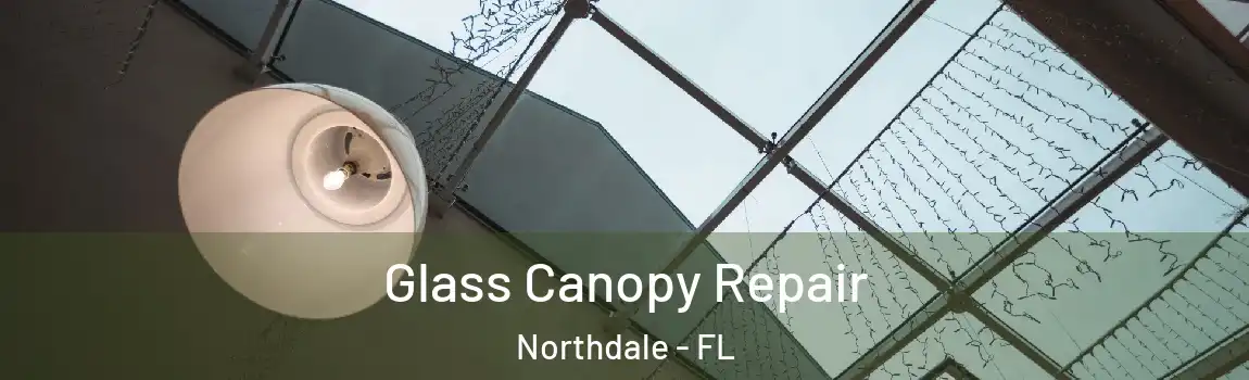 Glass Canopy Repair Northdale - FL