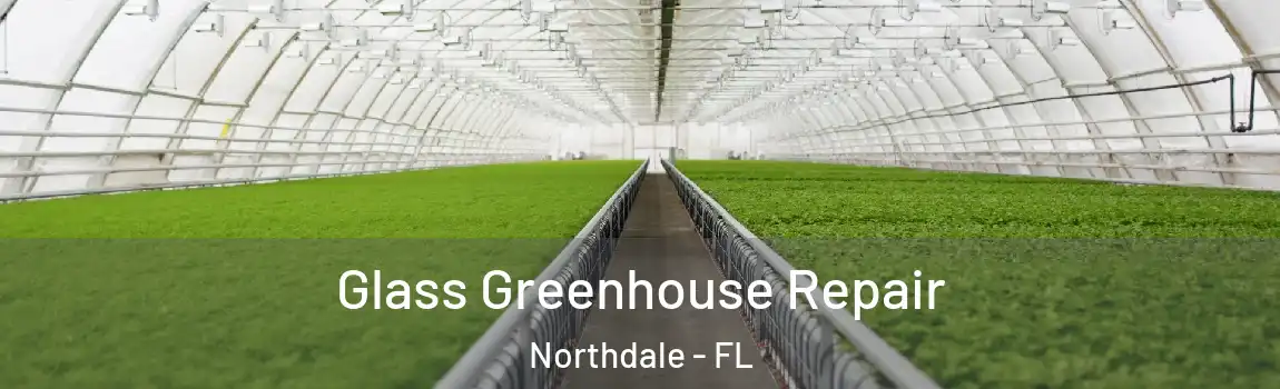  Glass Greenhouse Repair Northdale - FL