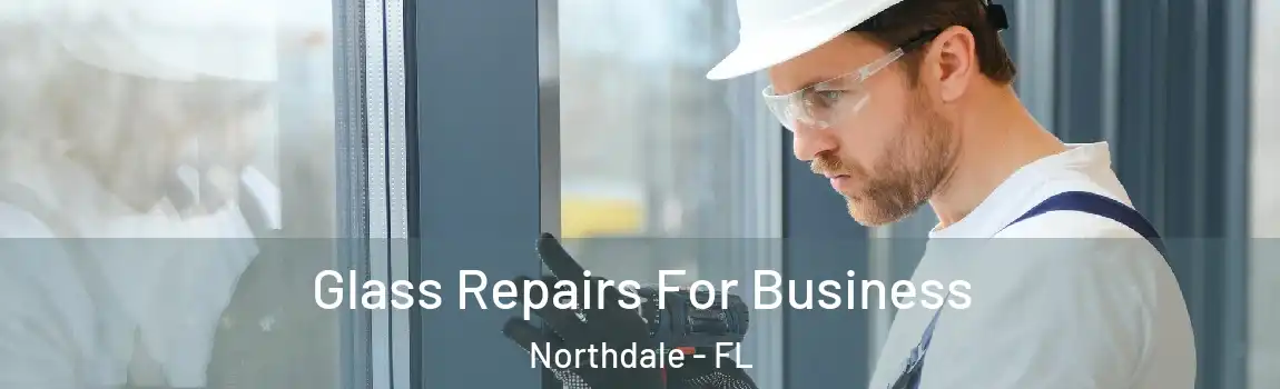  Glass Repairs For Business Northdale - FL