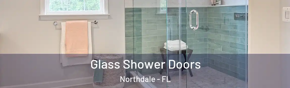 Glass Shower Doors Northdale - FL