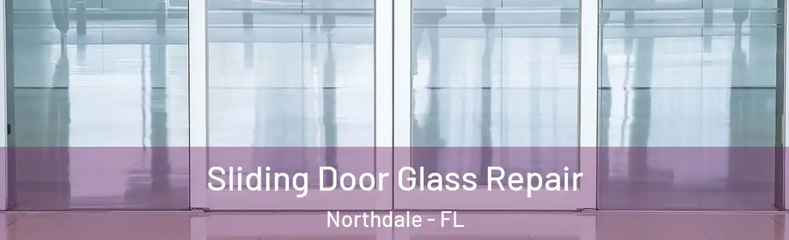  Sliding Door Glass Repair Northdale - FL