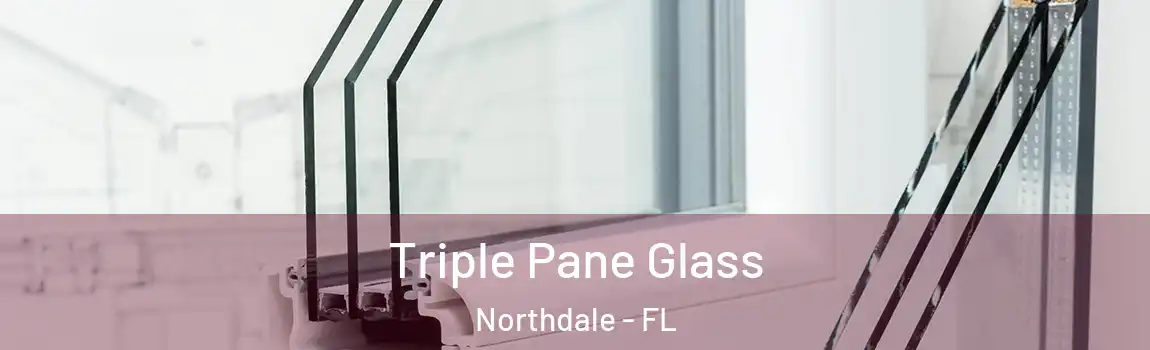  Triple Pane Glass Northdale - FL