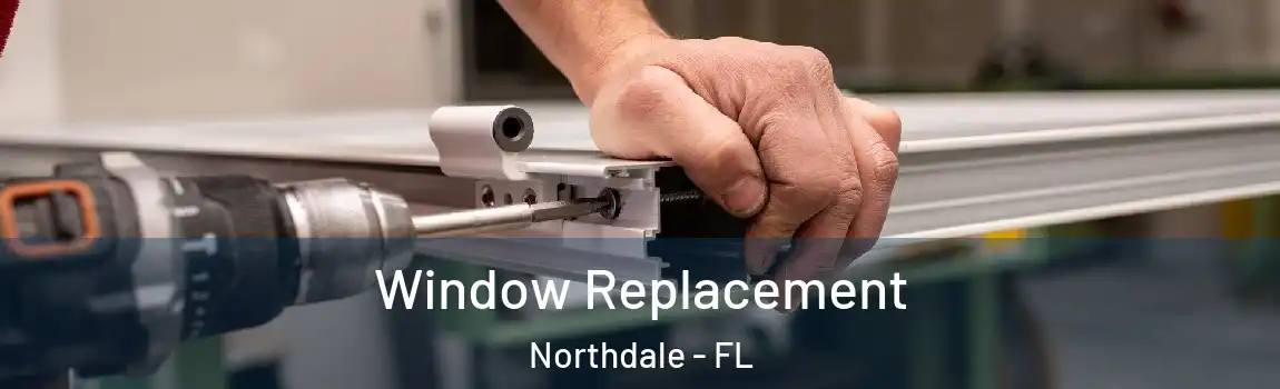  Window Replacement Northdale - FL